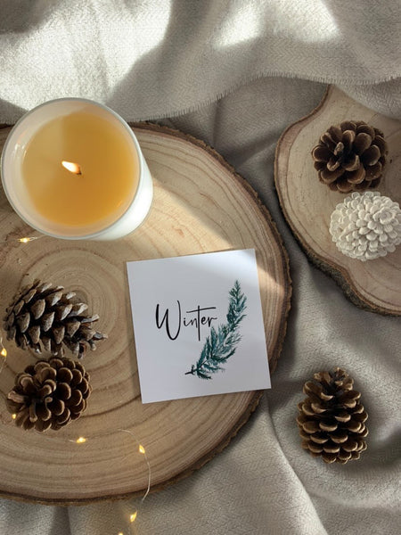 Winter Fir Stem Winter Christmas Seasonal Wall Home Decor Print
